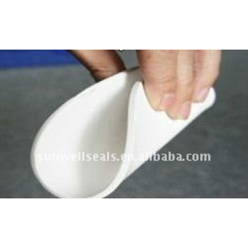 High Quality Expanded PTFE Sheet,Soft PTFE Sheet